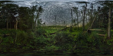 Briesen/Mark - Petersdorfer See - Petersdorfer See Sumpf Starrails Astrofotografie