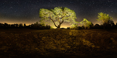 Dornswalder Forst - Panorama