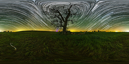 Elbauen bei Torgau - Einsamer Baum Astrofotografie