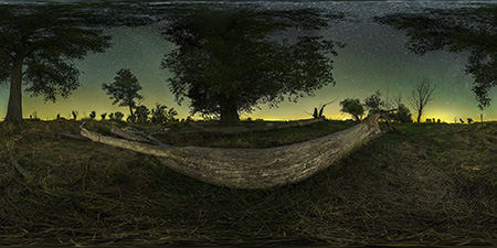 Elbauen bei Torgau - Toter Wal bei Sachau Astrofotografie